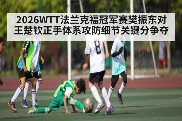 2026WTT法兰克福冠军赛樊振东对王楚钦正手体系攻防细节关键分争夺